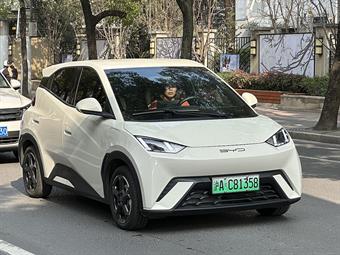 BYD Dolphin Surf Comfort 43,2 kWh — électrique, citadine chinois vendu en France